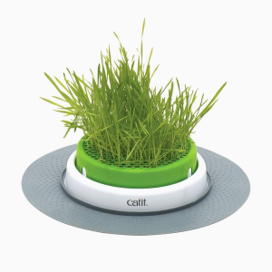 Catit Grass Planter, White/Green