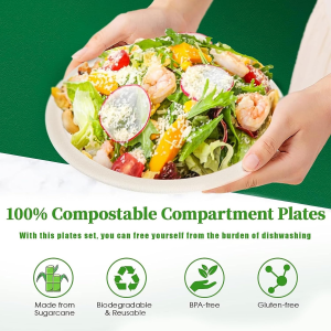 Disposable Paper Plates 9 Inch Compostable Plates 50 Pack Biodegradable Surgarcane Fiber Dessert Plates