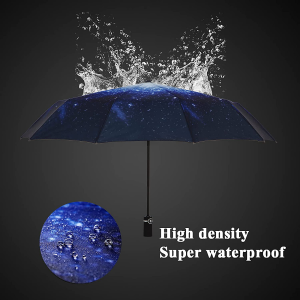 Sheyuinch Travel Umbrella Windproof- Automatic Open Close Folding Umbrella, Compact and Lightweight Rain Umbrellas with 10 Strong Ribs