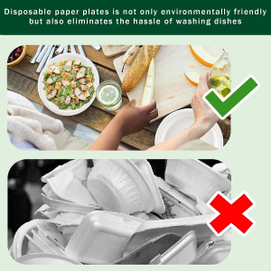 Disposable Paper Plates 9 Inch Compostable Plates 50 Pack Biodegradable Surgarcane Fiber Dessert Plates