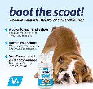 Glandex Dog Wipes for Pets Cleansing & Deodorizing Gland Hygienic Wipe​S for Dogs & Cats with Vitamin E, Skin Conditioners and Aloe – by Vetnique Labs (75Ct)