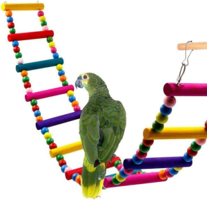 SHOPJING 10 Packs Bird Swing Chewing Toys- Parrot Hammock Bell Toys Parrot Cage Toy Bird Perch with Wood Beads Hanging for Small Parakeets, Cockatiels, Conures, Finches,Budgie,Parrots, Love Birds