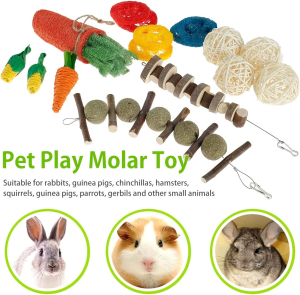 16Pcs Rabbit Chew Toys Bunny Toys Set – for Teeth Small Animal Chew Toys, for Hamsters Rat Chinchilla Gerbils and Other Small Animal Teeth Grinding