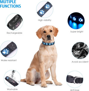 LED Dog Collar USB Rechargeable, 7 Modes Light up Dog Collars Night Safety High Visibility for Night Walking, Adjustable Safety Necklace Dog Collar for Small Medium Large Dog, M