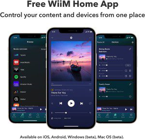 Wiim Pro Airplay 2 Receiver, Chromecast Audio, Wifi Multiroom Streamer, Works with Alexa, Siri and Google Assistant, Stream Hi-Res Audio from Spotify, Amazon Music, TIDAL and More