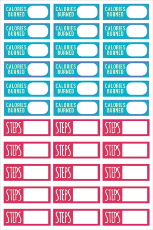 Essentials Health & Fitness Planner Stickers (Set of 325 Stickers)