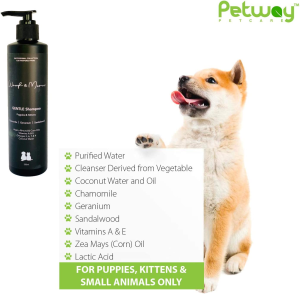 Woof & Meow Premium Natural Gentle Shampoo for Puppies & Kittens (250Ml) | Contains Coconut Water, Argan Oil, Almond Oil, Corn Oil, Cedarwood, and Sandalwood