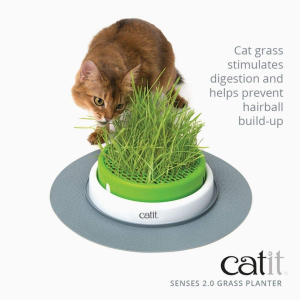 Catit Grass Planter, White/Green