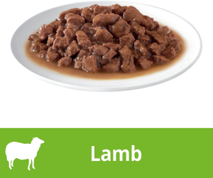 Dine Cuts in Gravy with Lamb Adult Cat Wet Food 85G X 14 Pack