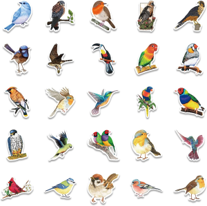 Watercolor Bird Stickers 50 Pack Laptop Stickers,Waterproof Stickers for Water Bottles,Skateboard,Diary Scrapbook,Phone-Graffiti Stickers Pack for Teens Girls Kids Adults(Cute Bird Stickers)