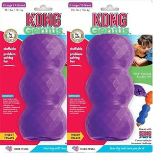 KONG – Genius Mike – Interactive Treat Dispensing Dog Puzzle Toy (Assorted Colours) – for Large Dogs