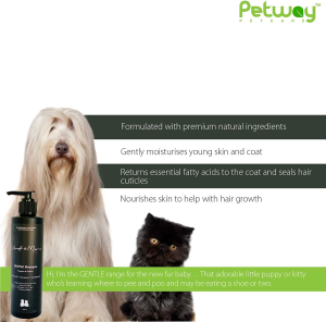 Woof & Meow Premium Natural Gentle Shampoo for Puppies & Kittens (250Ml) | Contains Coconut Water, Argan Oil, Almond Oil, Corn Oil, Cedarwood, and Sandalwood