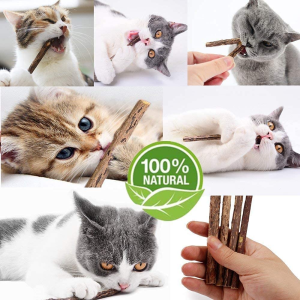 Cat Catnip Sticks Natural Matatabi Silvervine Sticks – Cleaning Teeth Molar Tools Kitten Cat Chew Toy Natural Catnip Mouse Cat Toy (20 PCS)