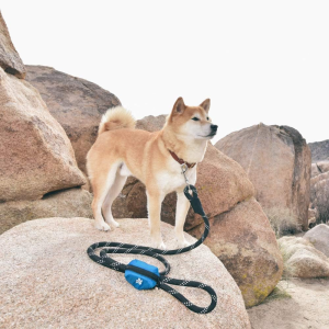 Zippypaws Dog Poop Bag Holder Leash Attachment