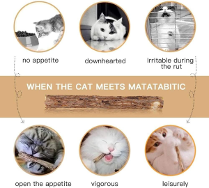 Cat Catnip Sticks Natural Matatabi Silvervine Sticks – Cleaning Teeth Molar Tools Kitten Cat Chew Toy Natural Catnip Mouse Cat Toy (20 PCS)