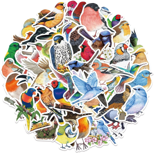 Watercolor Bird Stickers 50 Pack Laptop Stickers,Waterproof Stickers for Water Bottles,Skateboard,Diary Scrapbook,Phone-Graffiti Stickers Pack for Teens Girls Kids Adults(Cute Bird Stickers)