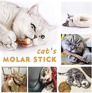 Cat Catnip Sticks Natural Matatabi Silvervine Sticks – Cleaning Teeth Molar Tools Kitten Cat Chew Toy Natural Catnip Mouse Cat Toy (20 PCS)