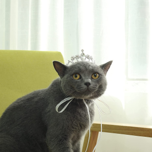 Lovelyshop Pet Series Crystal Rhinestone Dog/Cat Tiara Crown for Costume Small Dog Hair Accessories