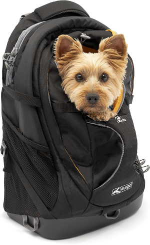 Kurgo Dog Carrier Backpack for Small Pets – Dogs & Cats | TSA Airline Approved | Cat | Hiking or Travel | Waterproof Bottom | G-Train | K9 Ruck Sack | Black (ZCR30-17136)