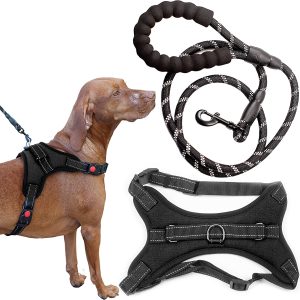 Zenify Pets Dog Harness Lead Set – Chest Control Grab Adjustable Reflective for Puppy Small Dogs (Black 5Ft Small)