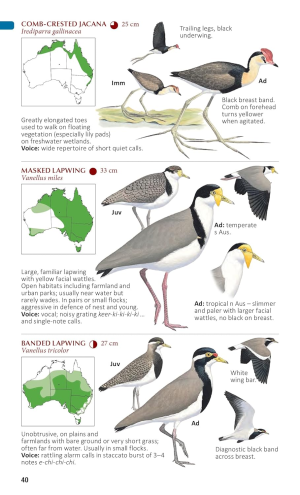 The Compact Australian Bird Guide