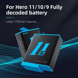 TELESIN 2PCS Batteries 1750Mah for Gopro Hero 11 10 9 Black with 2PCS Small Storage Case, Fully Compatible with Gopro Hero 11/10/9 Replacement Battery (2 Batteries)