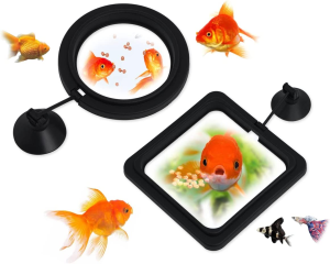 DS. DISTINCTIVE STYLE Fish Feeding Ring 2 Pieces Aquarium and Tank Floating Rings Food Feeders with Suction Cup (Black)