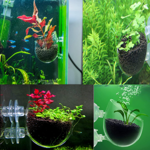 Tfwadmx Plant Pot Aquarium Decor Aquatic Plant Cup with 2 Suction Cup for Fish Tank Aquarium Aquascape(2 Pack)