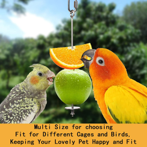 2PCS Premium Bird Food Holder, Bird Treat Skewer,Bird Skewers,Bird Feeders, Stainless Steel Parrot Fruit Vegetable Stick Holder, Bird Feeder Toy ,Foraging Toy, Bird Food Treat Skewer