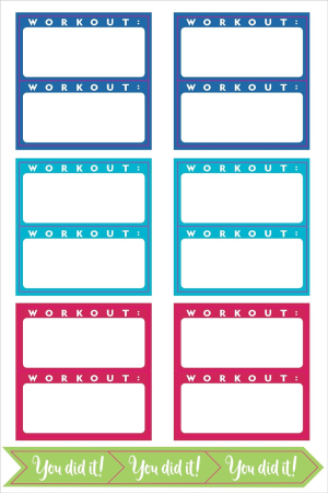 Essentials Health & Fitness Planner Stickers (Set of 325 Stickers)