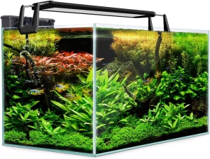 Dynamic Power Starfire Glass Fish Tank 16L (AQ-FT16L)