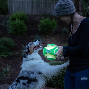 Chuckit! Max Glow Kick Fetch Large, Max Glow Green