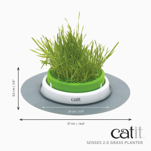 Catit Grass Planter, White/Green