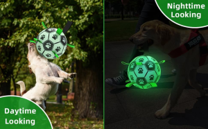 QDAN Glow in the Dark Dog Toys Soccer Ball with Straps, Interactive Dog Toys Puppy Birthday Gifts, Dog Tug Water Toy, Indoor/Outdoor Light up Dog Balls for Small & Medium Dogs（8 Inch Size 3）