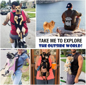 Pet Carrier Backpack, Adjustable Pet Front Cat Dog Carrier Backpack Travel Bag, Legs Out, Easy-Fit for Traveling Hiking Camping for Small Medium Dogs Puppies Biking and Motorcycle, Camping, Hiking (M)