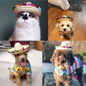 AWOCAN Pet Straw Hat Funny Mexican Sombrero Cap Party Decorations for Birthday for Small Pets/Puppy/Cat