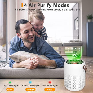 Air Purifier, Desktop Portable Purifier, 99.99% Air Clean, 3-In-1 H13 True HEPA Filter, 4 Purify Modes, Air Condition Detect, Night Light, Low Noise, Filter Replace, up to 216 Sq.Ft(20M²), Type-C Plug