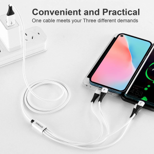 SDBAUX USB a to USB C Multi Charger Cable,4 in 1 Dual Phone/Type C/Micro Port,3A Fast Charging Compatible with Most Mobile Phones and Electronic Devices Tablets