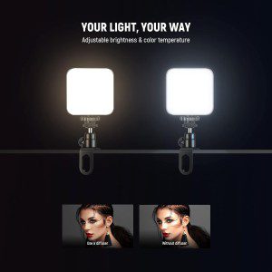 NEEWER Clip on Light Selfie Light for Phone/Laptop, Portable Camera Light with Cold Shoe, 2500K-10000K/3000Mah Rechargeable/Led Video Fill Light for Content Creator, Tiktok, Vlog, Photography, PL81