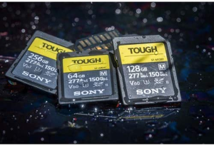 Sony Tough-M Series SDXC UHS-II Card 64GB, V60, CL10, U3, Max R277MB/S, W150MB/S (SF-M64T/T1)