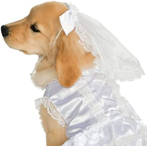 Bride Pet Costume