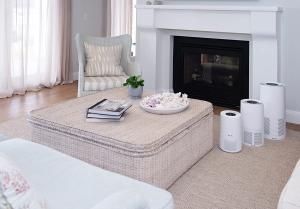 Breville the Easy Air Purifier