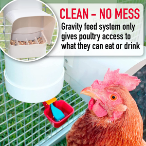 Royal Rooster Chicken Feeder and Waterer Set – Includes 4 Litre Waterer with 2 Cups and 3 Kg Feeder for Chickens – Chicken Coop Accessories with Hanging Chicken Poultry Feeder and Chicken Waterer Kit