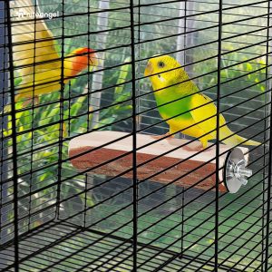 Niteangel Parrot Cage Perch, Wooden Platform for Birds (2 Packs)