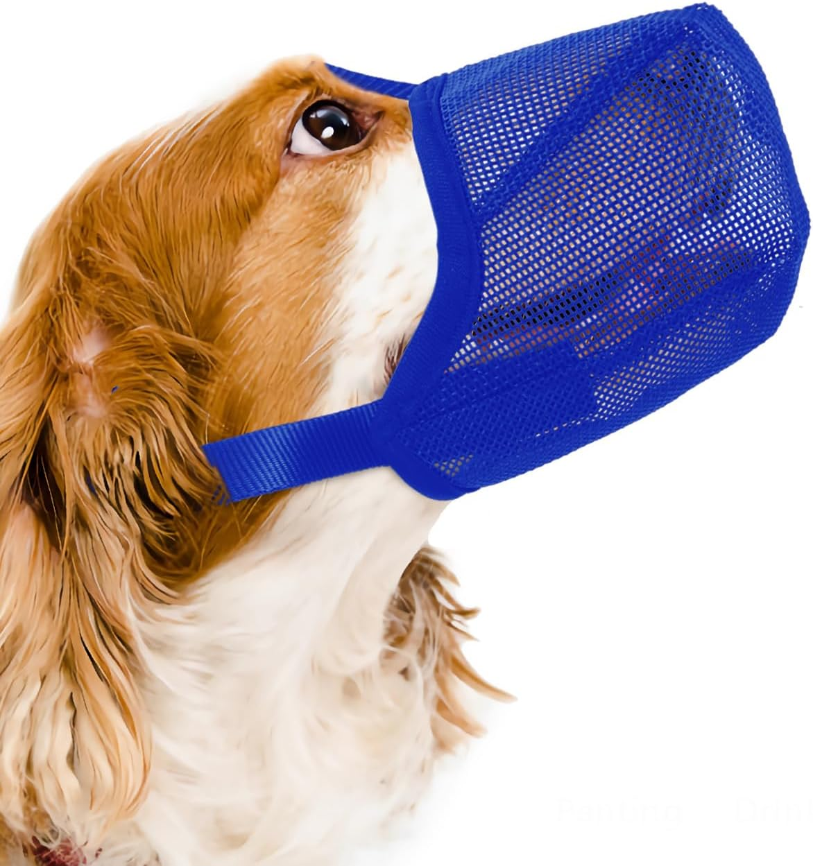 Air muzzle for store dogs