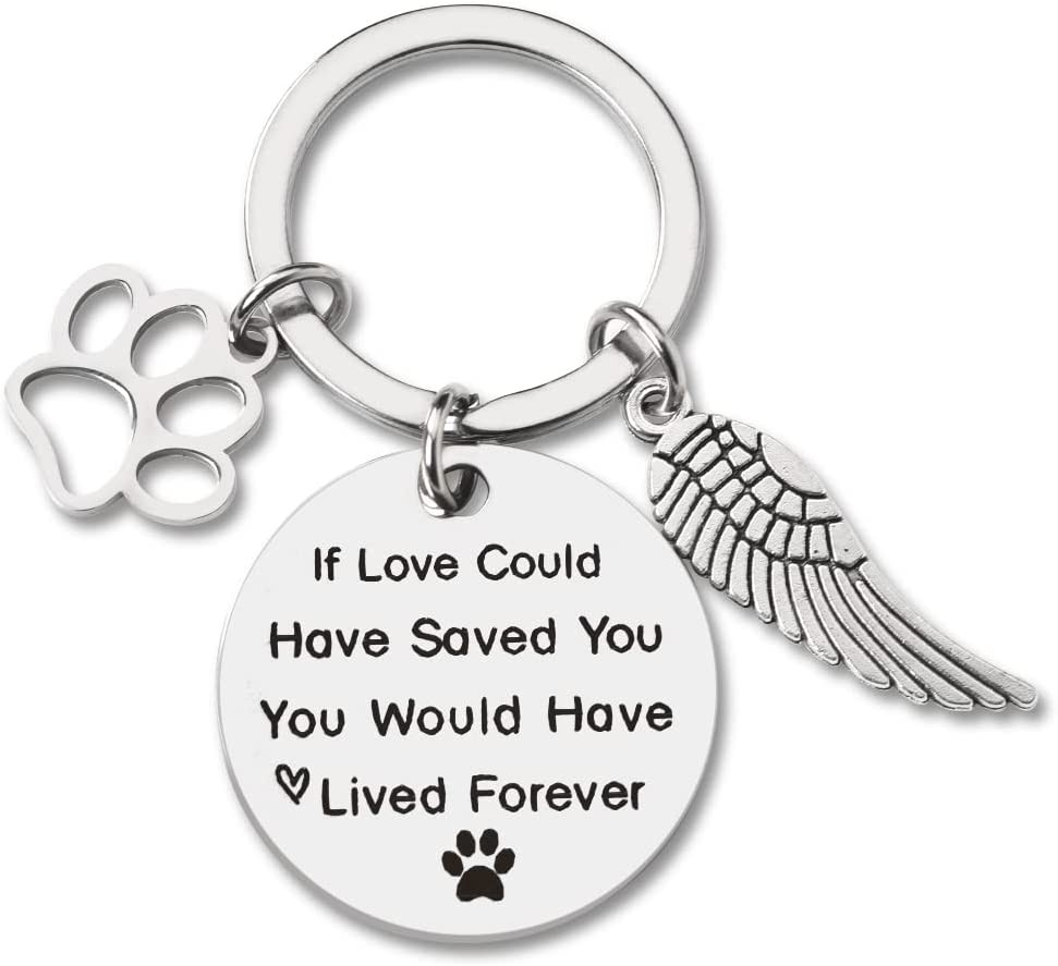 Pet Memorial Gifts for Loss of Dog Sympathy Keychain for Pet Owner Remembrance Gifts for Loss of Pet Paw Prints Keychains Cat Dog Bereavement Gifts for Friends Sisters