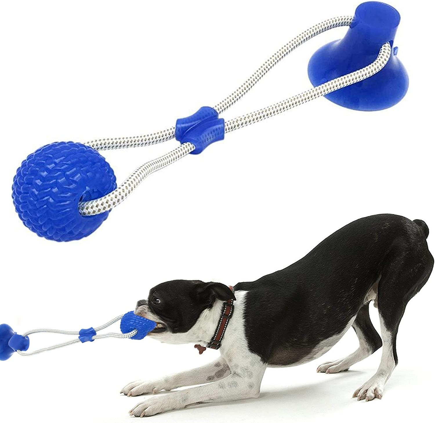 SMART DOG Suction Cup Tug of War Dog Toy, Self-Playing Dog Tug Toy, Dog Pull Toy with Chew Rubber Ball (Blue)