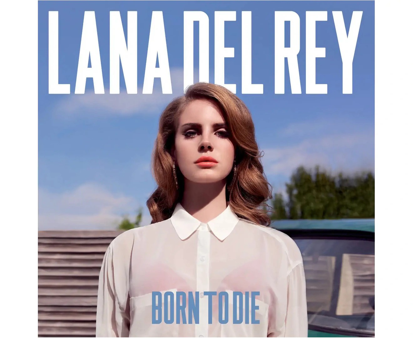 Lana Del Rey – Born to Die Repress Vinyl