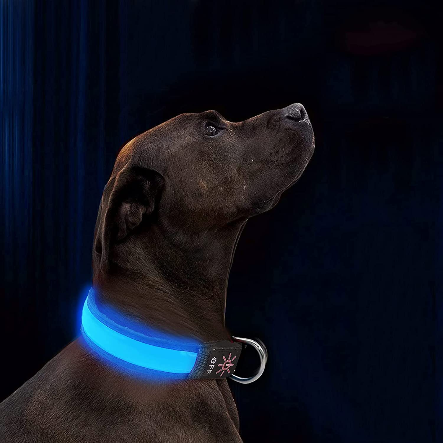 LED Dog Collar Light up Dog Collar USB Rechargeable Waterproof Night Dog Band with 3 Glowing Modes Makes Your Dog Visible Safe Seen Blue S eMEGA Australia