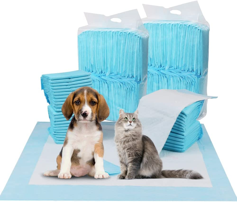 Blue beagle training store pads